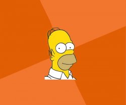 ORANGE HOMER